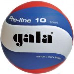 Míč Gala Pro Line 10